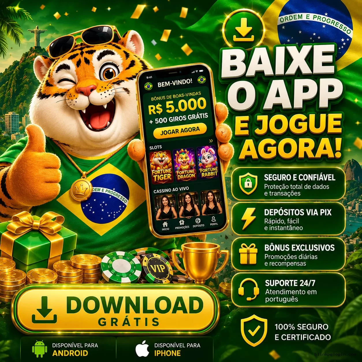 Blinkpg Login